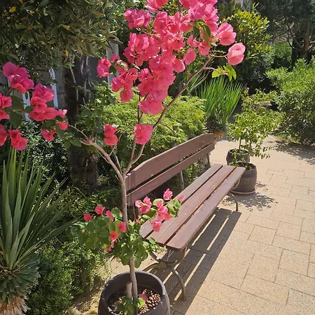 Messembria Palace Apartman